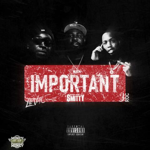 Important (feat. Lil VAC & JROC) album art