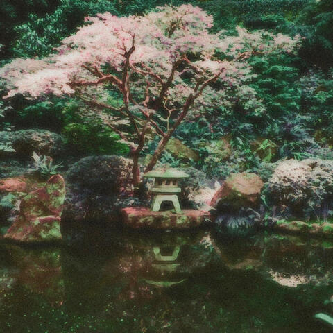 Secluded album art
