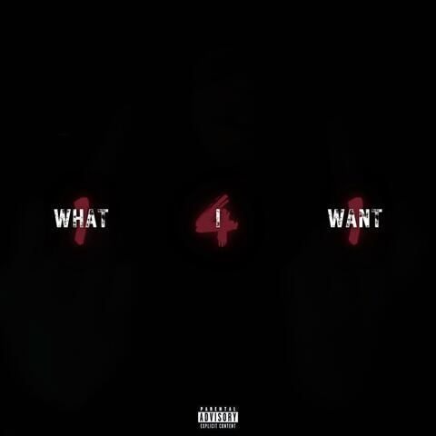 WHAT I WANT album art
