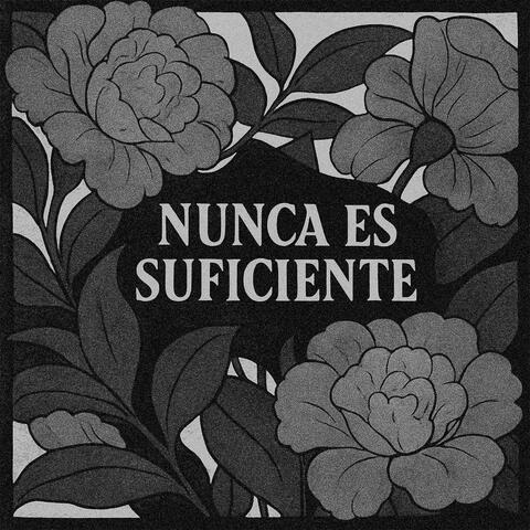 Nunca Es Suficiente album art
