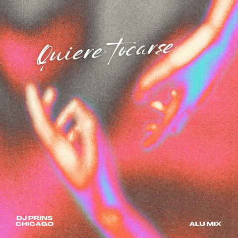 Quiere Tocarse (feat. Alu Mix) album art