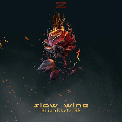 Slow Wine album art