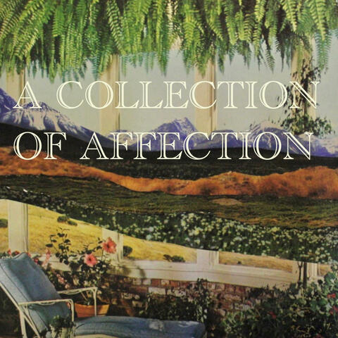 A Collection of Affection album art