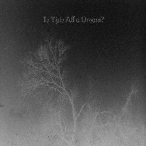 Is This All a Dream? album art