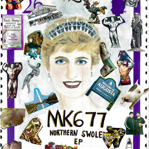 Northern Swole album art