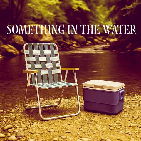 Something In The Water album art