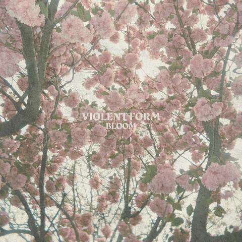 Bloom album art