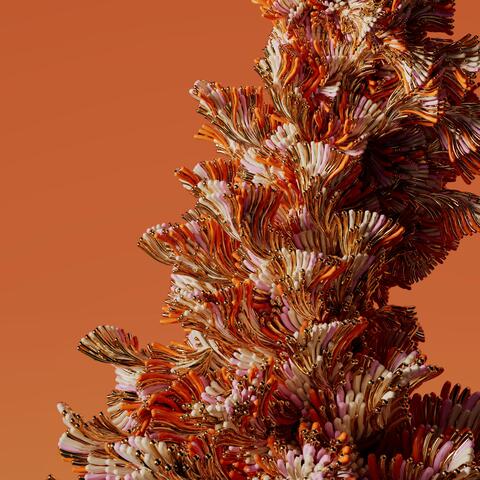 superbloom album art