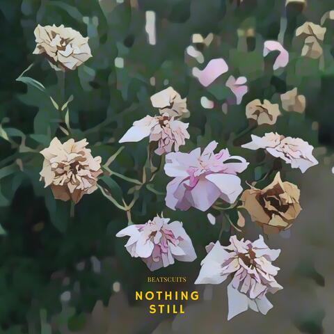 Nothing Still album art