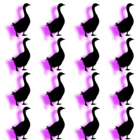 GREY GOOSE album art