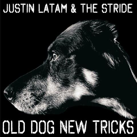 Old Dog New Tricks album art