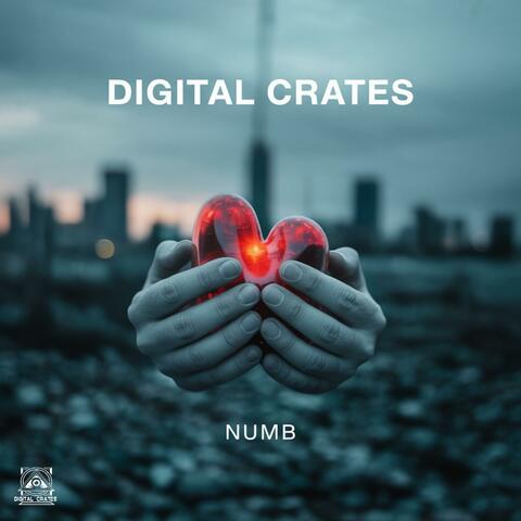 Numb album art