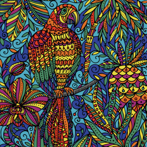 Ten Macaws album art