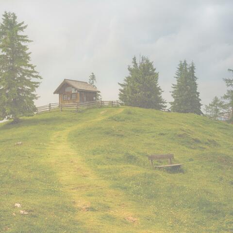 Alma mia album art