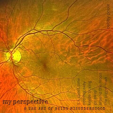 my perspective & the art of being misunderstood album art