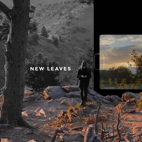 New Leaves album art