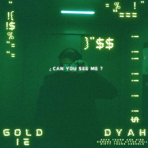 ¿can you see me? album art