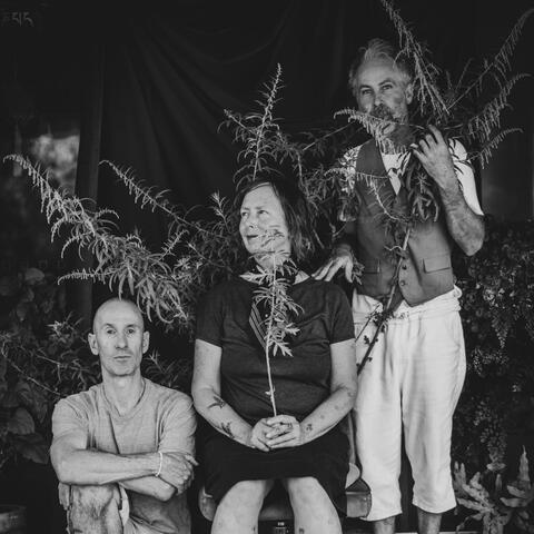 Bone Mother (feat. Aidan Kane Munn) album art