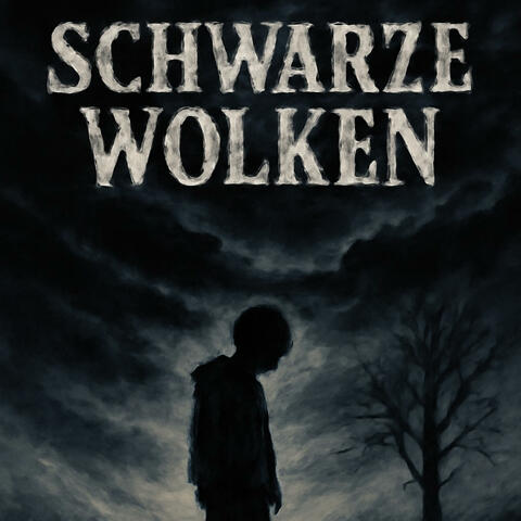 Schwarze Wolken (feat. Plakativ KI) [Music by Hankoko] album art