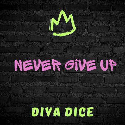 Never Give Up album art
