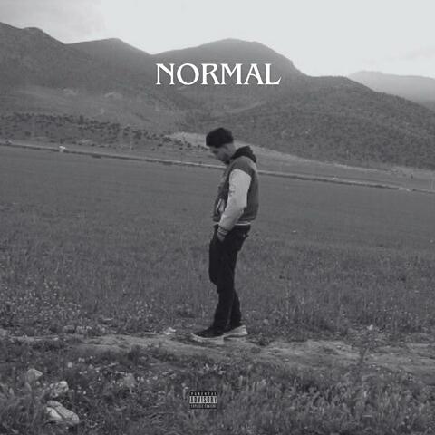 NORMAL album art