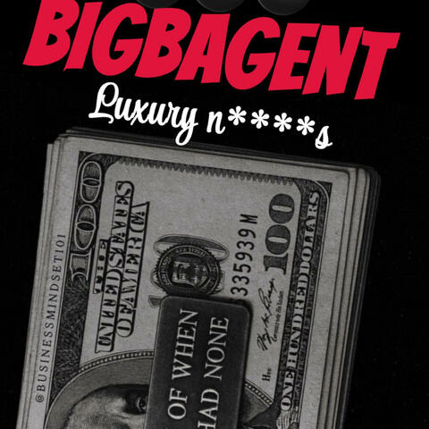 LUXURY N****S PENTHOUSE album art