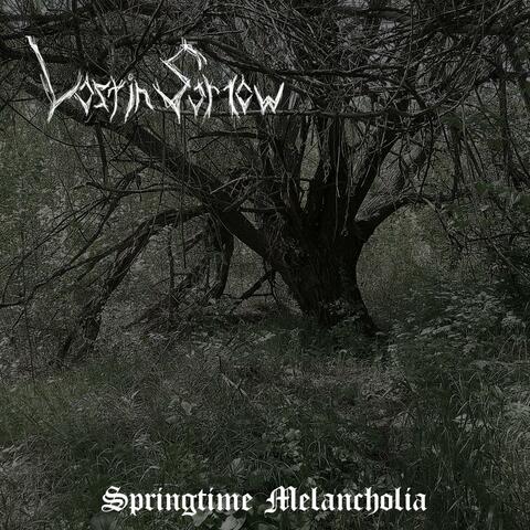 Springtime Melancholia album art