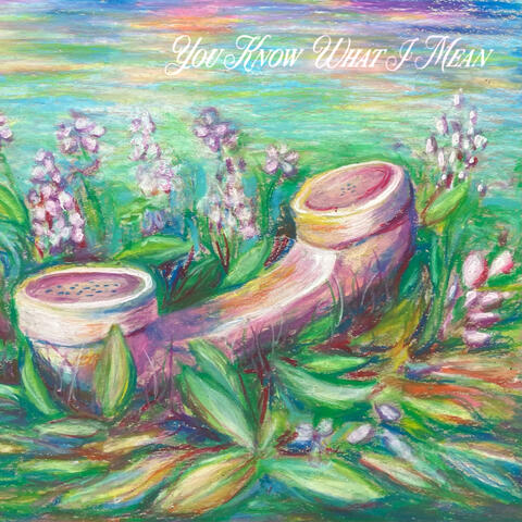 You Know What I Mean album art