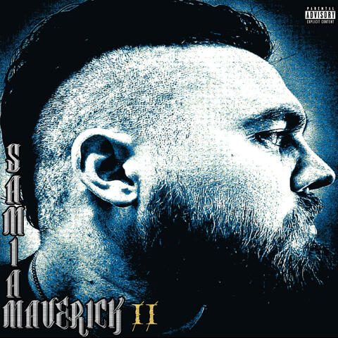 MAVERICK II album art