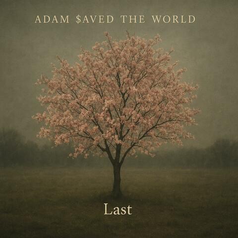 Last album art