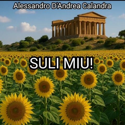 SULI MIU! album art