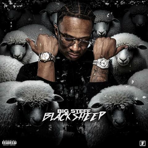 Black Sheep album art