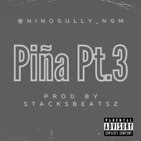 Piña Pt.3 (feat. Nino Gully) album art