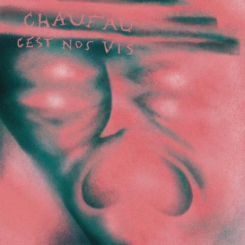 C'est nos vis album art