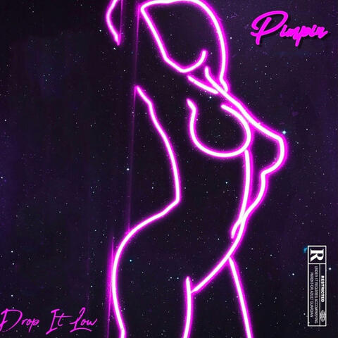 Drop It Low album art