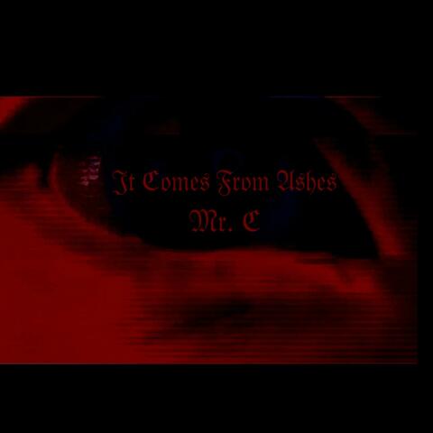 It Comes From Ashes album art