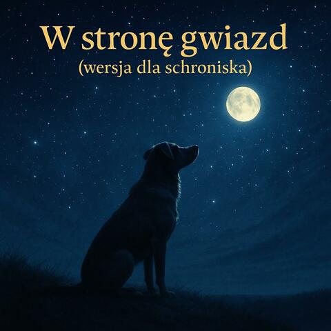 W stronę gwiazd (wersja dla schroniska) album art