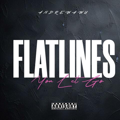 FLATLINES album art