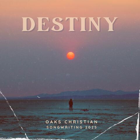 Destiny (Songwriting Album 2025) album art