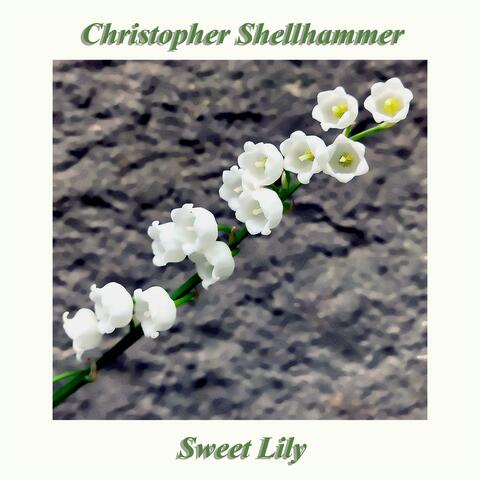Sweet Lily album art