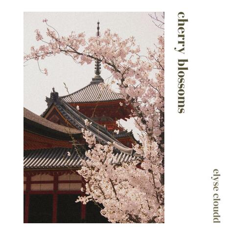 Cherry Blossoms album art