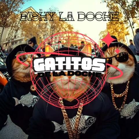 Gatitos de La Doche album art