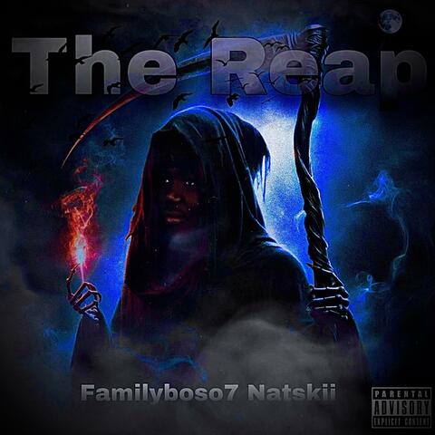 The Reap album art