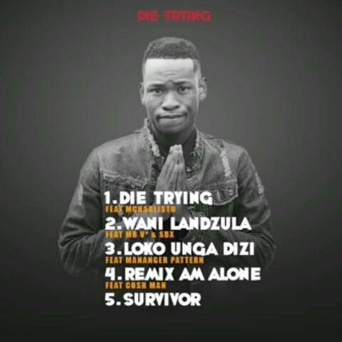 Die Tying album art