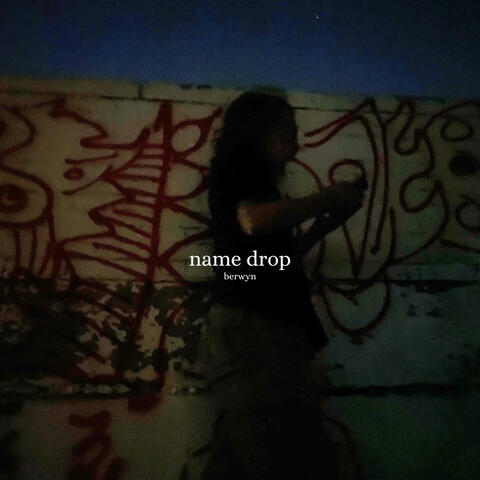 name drop album art