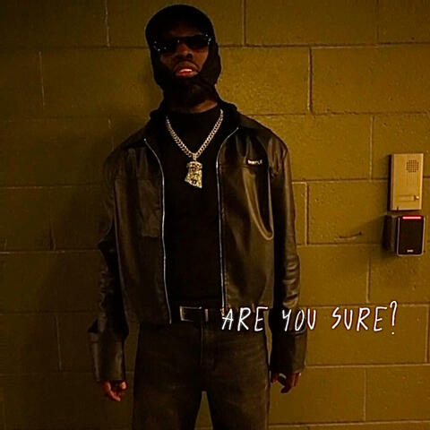 are you sure?.. album art