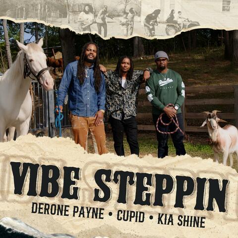 Vibe Steppin (Remix) album art