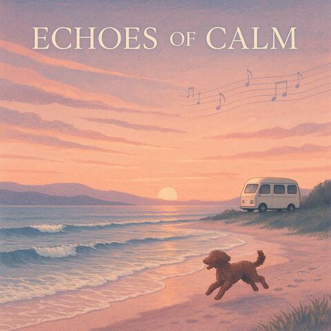 Echoes of Calm album art
