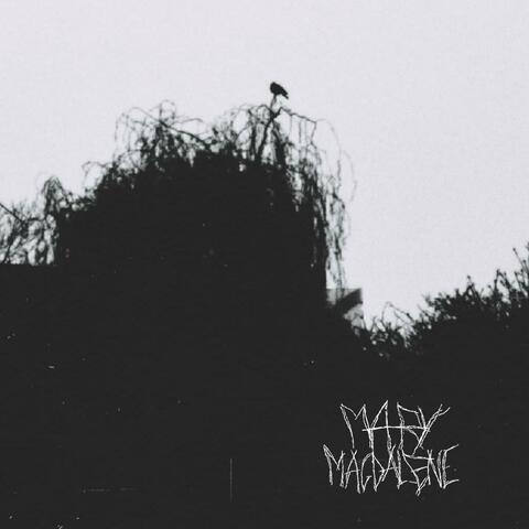 CONFESSIONALS, Vol. 1 album art
