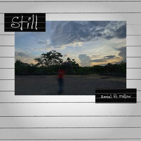 still (feat. mallow) album art